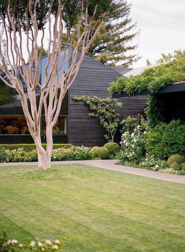 The culinary garden lawn in late light